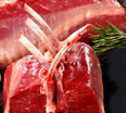 lamb